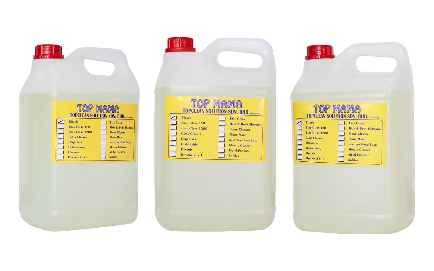 Bleach - 10L
