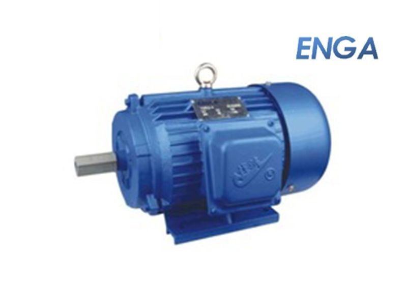 Y Series (Three Phase Squirrel Cage Induction Motor)